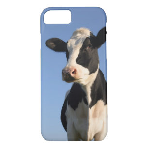 Attentive cow iPhone 8/7 case