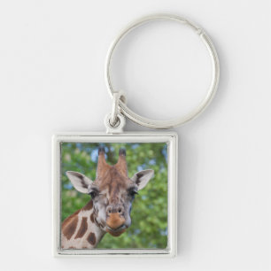 Attentive Giraffe Key Ring