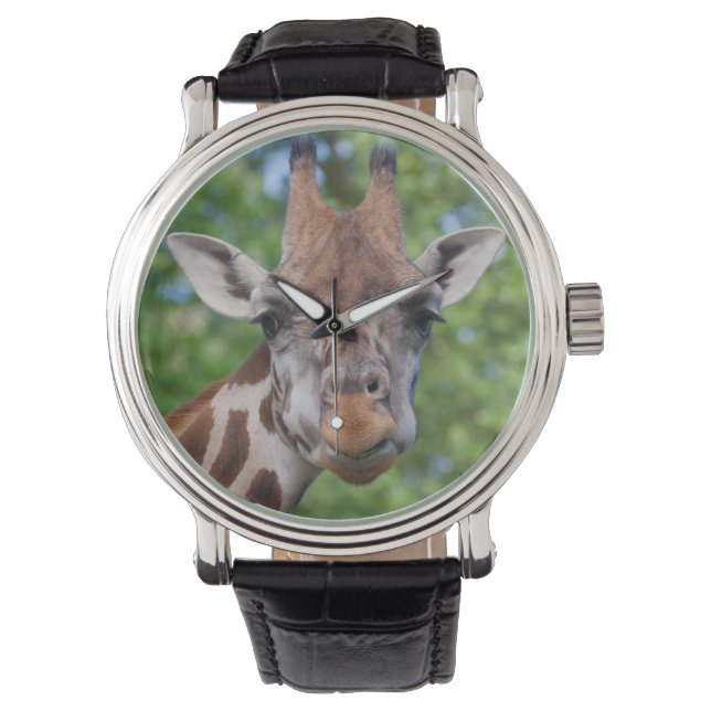 Attentive Giraffe Watch (Front)