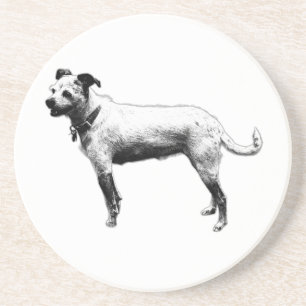 Attentive Terrier Mix Coaster