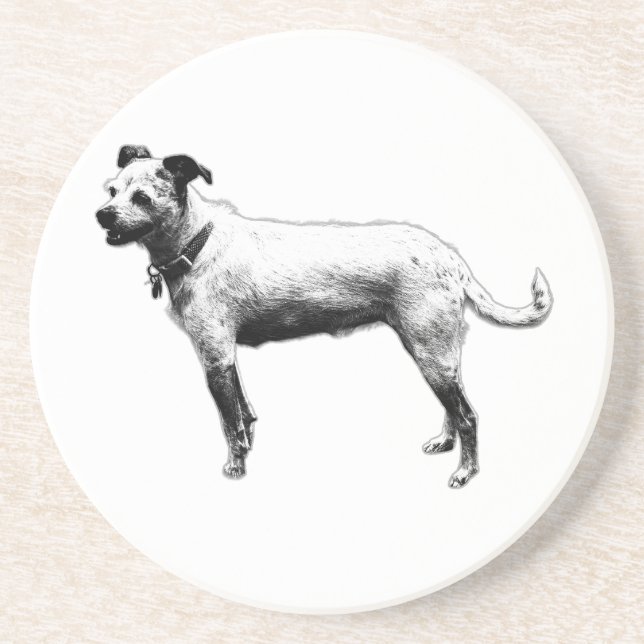 Attentive Terrier Mix Coaster (Front)