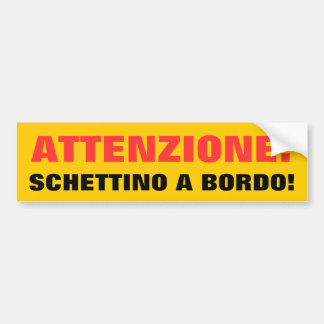 ATTENZIONE: SCHETTINO A BORDO! BUMPER STICKER