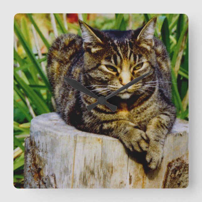 Attitude Cat Square Wall Clock (Front)