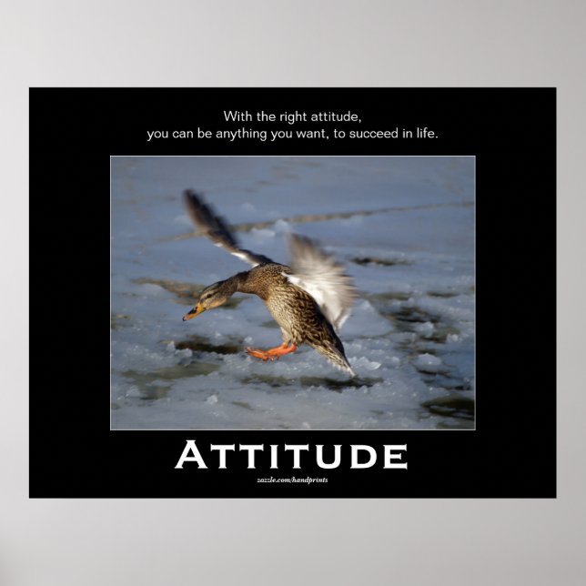 Attitude Mallard Duck Motivational Posters (Front)