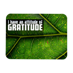 "Attitude of gratitude" Motivation Affirmation Magnet