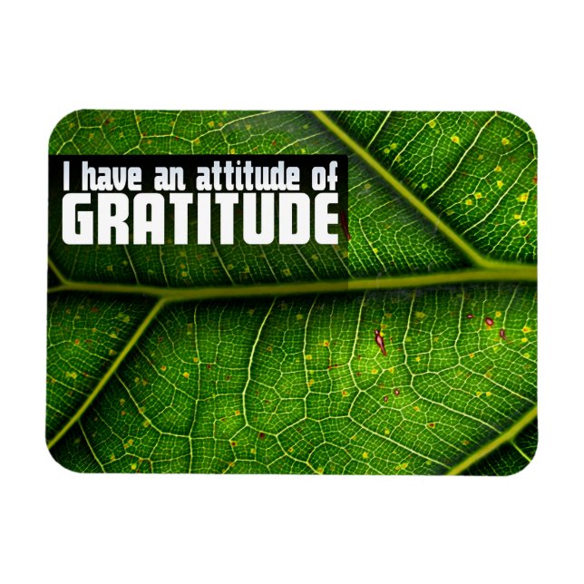 "Attitude of gratitude" Motivation Affirmation Magnet (Horizontal)