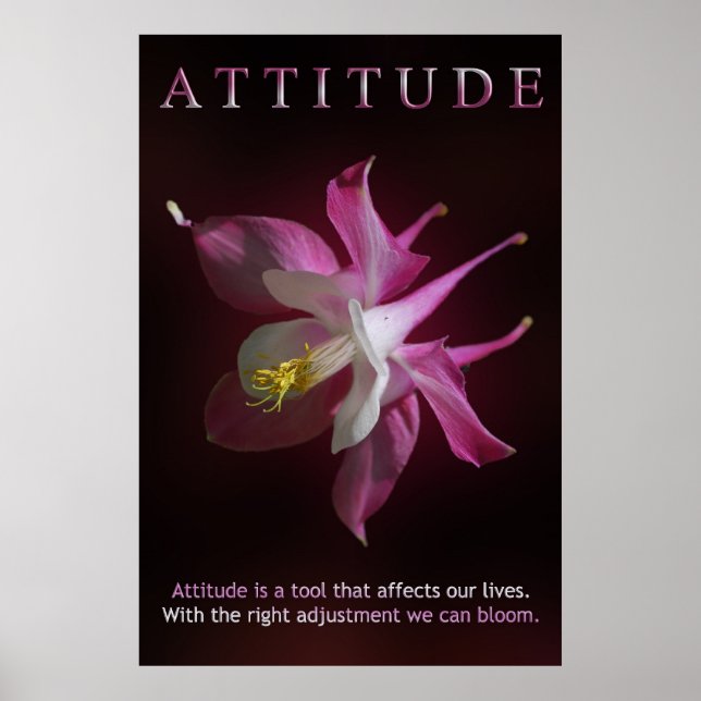 Attitude Poster (Front)