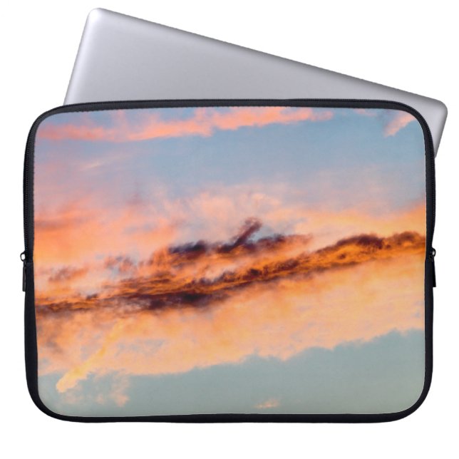 attraction consumption laptop sleeve (Front)