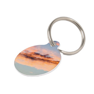 attraction consumption pet tag