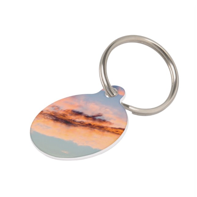 attraction consumption pet tag (Side)