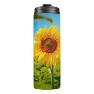 Attractive field with bright yellow sunflowers clo thermal tumbler