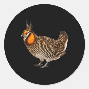 Attwaters Prairie Chicken Bird Wildlife Nature Classic Round Sticker