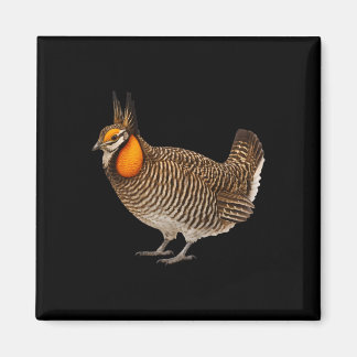 Attwaters Prairie Chicken Bird Wildlife Nature  Magnet