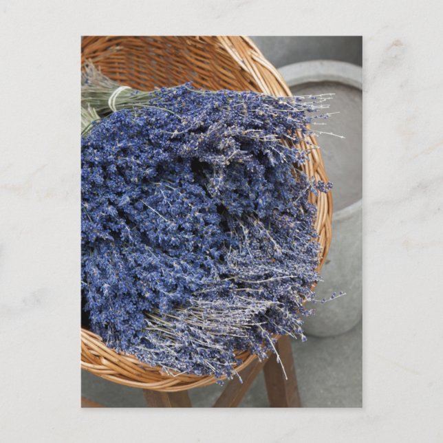 Au pays des lavandes postcard (Front)