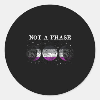 Aual Pride Flag Not A Phase _1  Classic Round Sticker