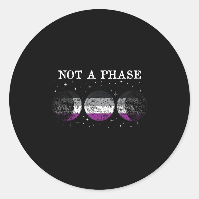 Aual Pride Flag Not A Phase _1  Classic Round Sticker (Front)