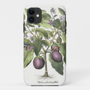 Aubergine: Melanzana fructu pallido, from the 'Hor iPhone 11 Case
