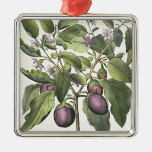 Aubergine: Melanzana fructu pallido, from the 'Hor Metal Ornament