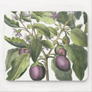 Aubergine: Melanzana fructu pallido, from the 'Hor Mouse Pad