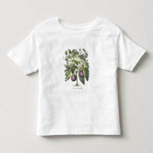 Aubergine: Melanzana fructu pallido, from the 'Hor Toddler T-Shirt