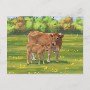 Aubrac Cow & Cute Calf in Spring Pasture Postcard
