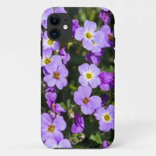 Aubretia on a meadow as background iPhone 11 case