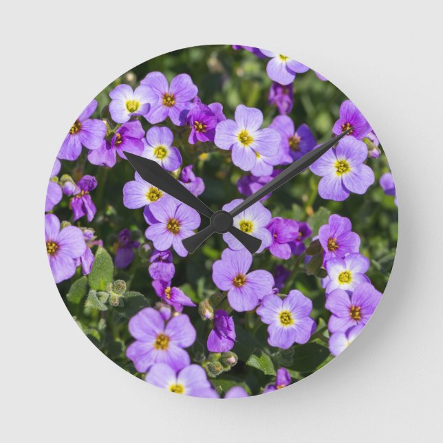 Aubretia on a meadow as background round clock (Front)