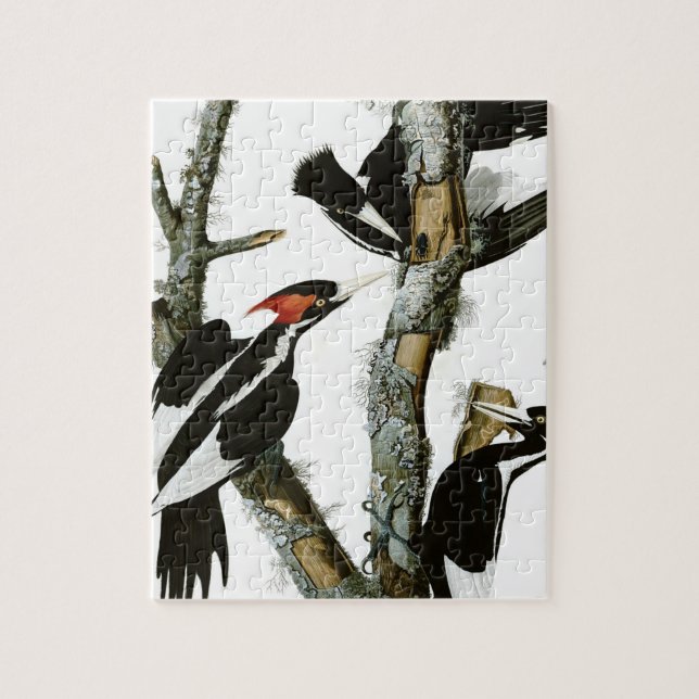 Aububon's Ivory-billed Woodpecker in Ash tree Jigsaw Puzzle (Vertical)