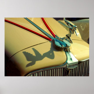 Auburn Speedster radiator ornament Poster
