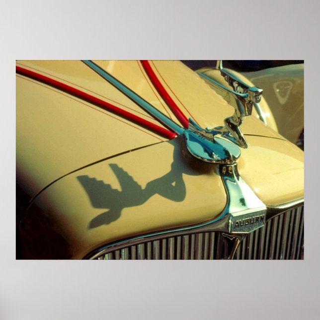 Auburn Speedster radiator ornament Poster (Front)