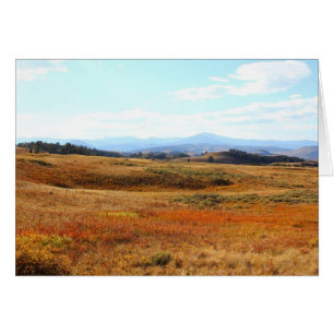 Auburn Yellowstone countryside