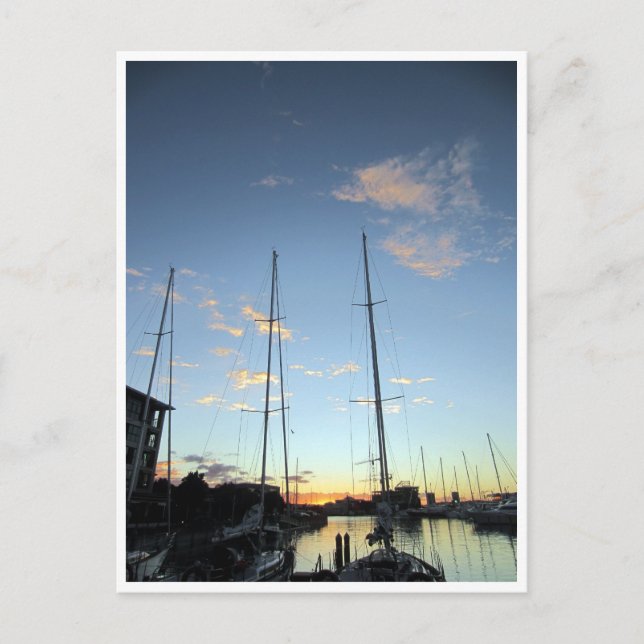 auckland harbour boats postcard (Front)