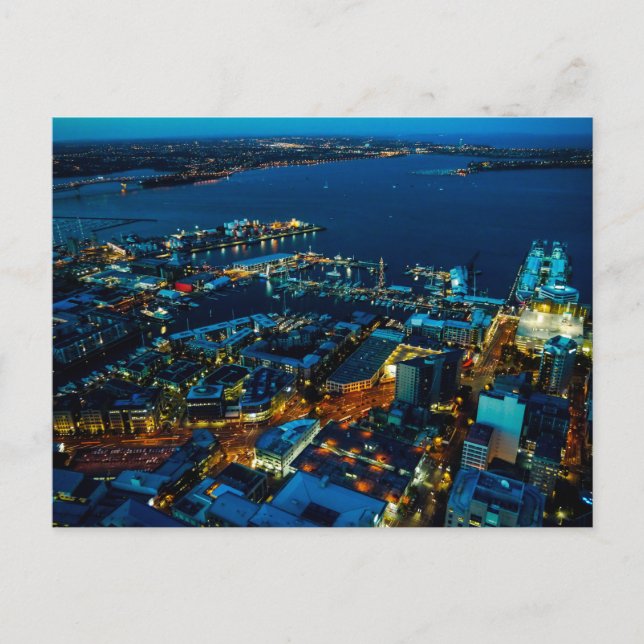 Auckland Marina view from the Sky Tower - Postcard (Front)