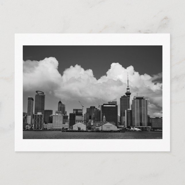 Auckland New Zealand Postcard (Front)