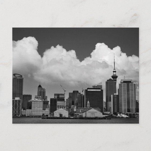 Auckland New Zealand Postcard (Front)