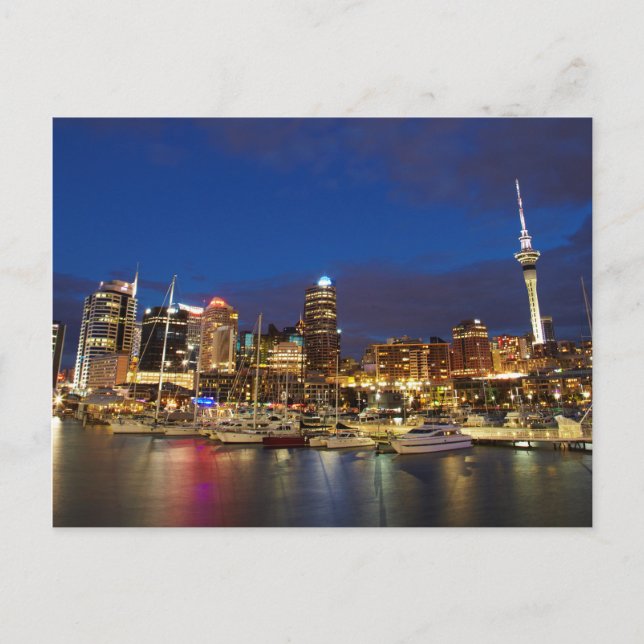 Auckland Night Skyline Postcard (Front)