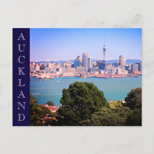 auckland skyline nz postcard (Front)