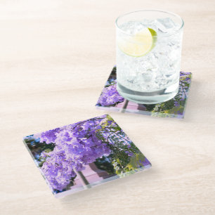 Auckland's Purple Princess Tree Glass Coaster