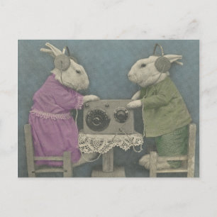 Audiophile Bunnies Postcard
