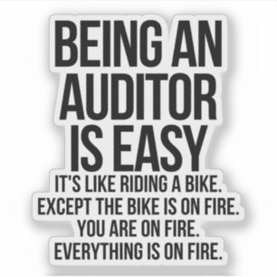 Auditor