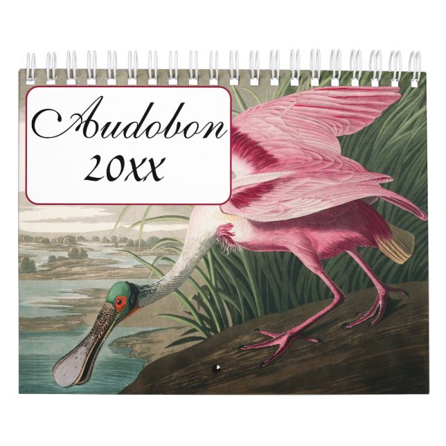 Audobon Bird Calendar (Cover)