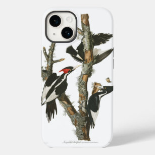 Audobon Extinct Ivory-Billed Woodpecker Case-Mate iPhone 14 Case