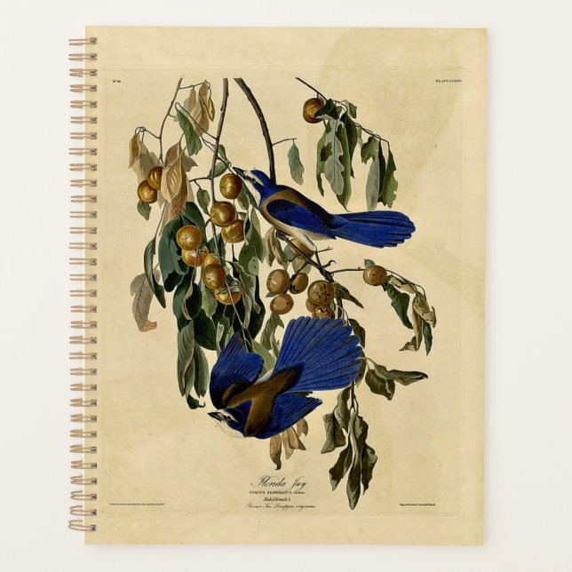 Audobon - Florida Jay, Planner (Front)