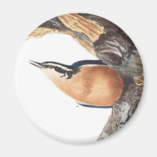 Audobon Red-Breasted Nuthatch Magnet