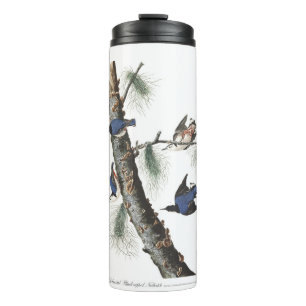Audobon White-Breasted Nuthatch (Black capped) Thermal Tumbler