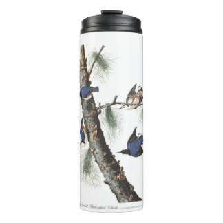 Audobon White-Breasted Nuthatch (Black capped) Thermal Tumbler