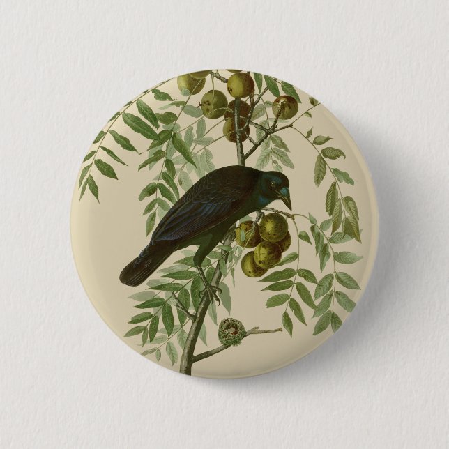 Audubon American Crow Black Bird 6 Cm Round Badge (Front)
