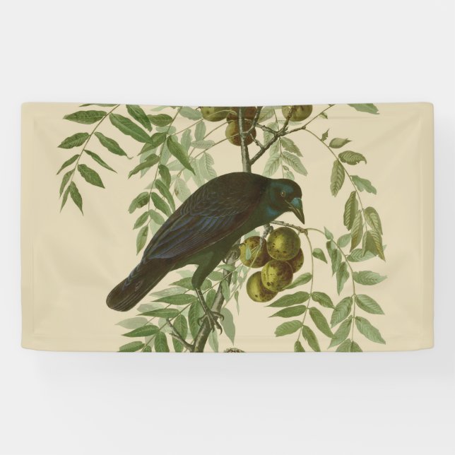 Audubon American Crow Black Bird Banner (Horizontal)