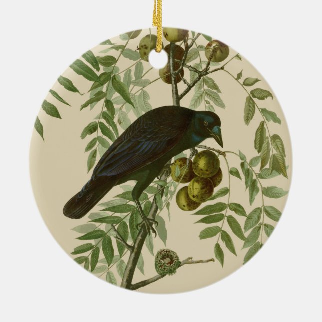Audubon American Crow Black Bird Ceramic Ornament (Back)