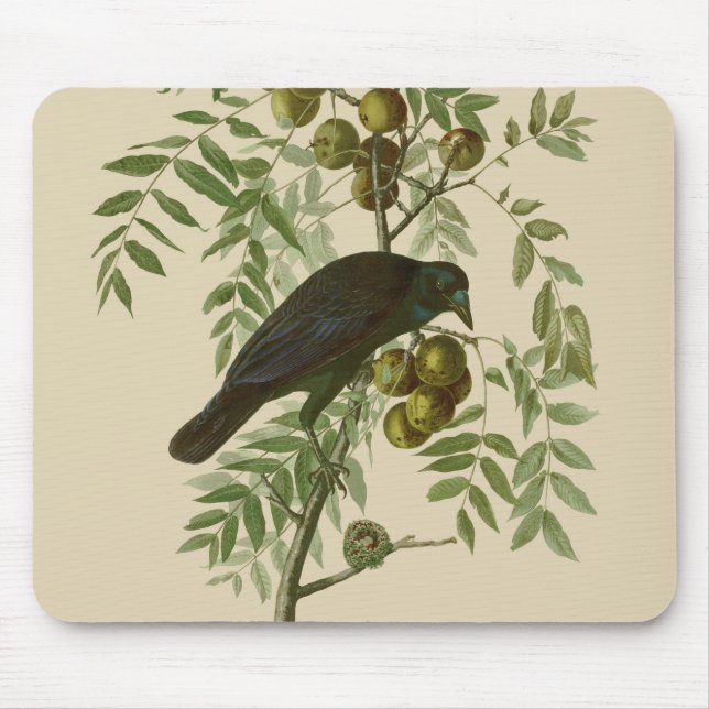 Audubon American Crow Black Bird Mouse Pad (Front)